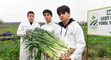 Osmangazi’de İlaçsız Üretim Sofralara Ulaşıyor