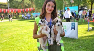 Bursa Büyükşehir Belediyesi’nden Can Dostlara Tam Destek