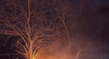 Bursa’da Otomobil Ağaca Çarpıp Alev Aldı