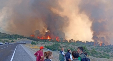 Bursa’daki Orman Yangınında FETÖ İhraç Astsubaya 15 Yıl Hapis Talebi