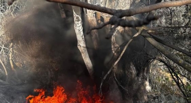 Mudanya Aydınpınar'da Çalı Yangını Korkuttu