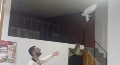 Takla atan güvercinine hayranlıkla baktığı anlarla gündem oldu