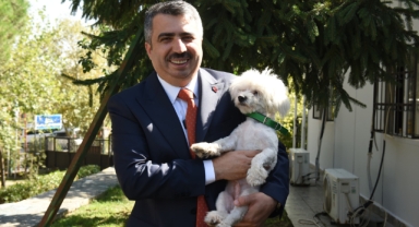 Yıldırım Belediyesi Sokak Hayvanları İçin Kış Tedbirlerini Artırdı