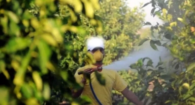 Zirai İlaçlarda Reçeteli Dönem