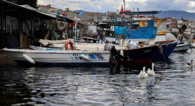 Balık sizden, mazot bizden