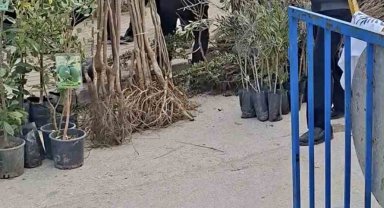 Bursa'da seyyar satıcılardan zabıtaya bıçaklı saldırı, 1 zabıta yaralandı