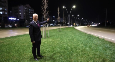 Çalı Yolu Aydınlatma Çalışmalarıyla Modern ve Güvenli Hale Getirildi