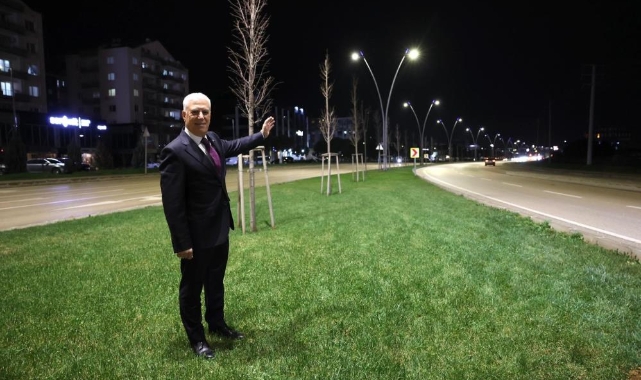 Çalı Yolu Aydınlatma Çalışmalarıyla Modern ve Güvenli Hale Getirildi