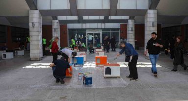 Can dostlara sıcak yuva