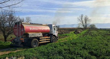 İznik'te rüzgarla birlikte sazlık yangını büyüyor