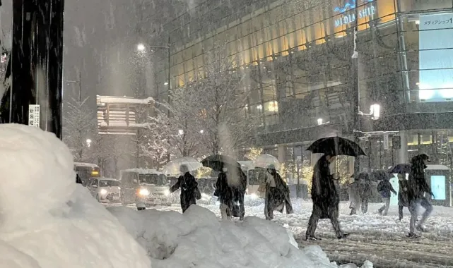 Japonya'da Yoğun Kar Yağışı Felaketi: 44 Ölü, 444 Yaralı