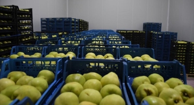 Kestel’e 400 Milyon Liralık Dev Meyve Tesisi Kuruluyor