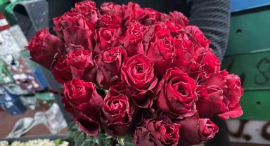 Kırmızı gülü yağış vurdu: Kenya ve Uganda gülleri revaçta