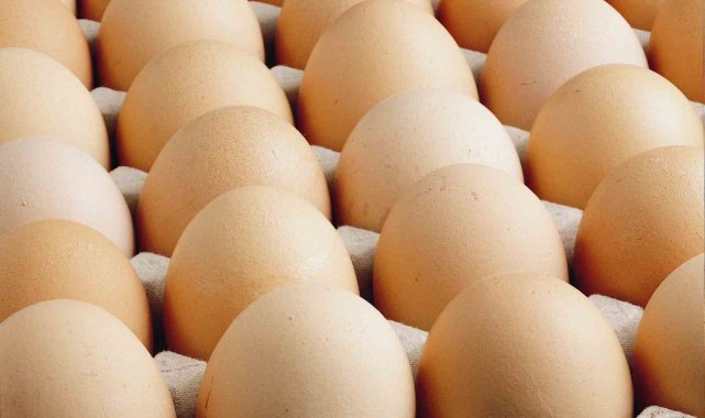 Kişi başına düşen yumurta üretimi 15 adet azaldı