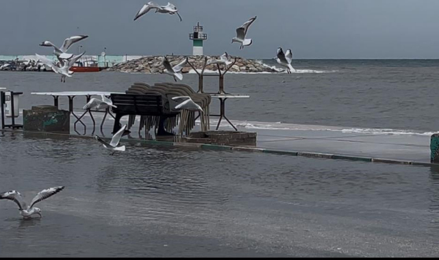 Marmara Denizi fırtınası Gemlik sahil yolunu trafiğe kapattı