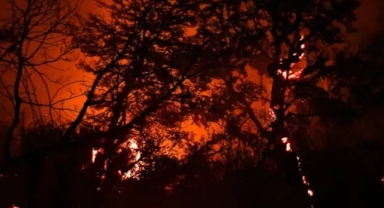 Patagonya Orman Yangınları Los Alerces Milli Parkını Tehdit Ediyor