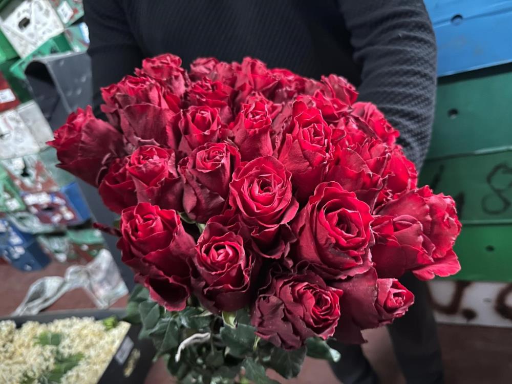 Sevgililer Günü Öncesi Kırmızı Gül Alarmı