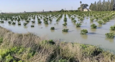 Seyhan Barajı’nda Su Seviyesi Yükseldi Tarlalar Su Altında Kaldı
