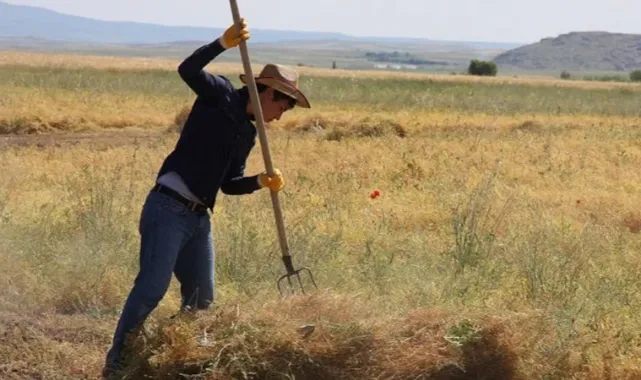 Tarımsal Destekleme Ödemesi Hesaplara Yatıyor