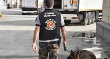 Ticaret Bakanlığı Hayvan Kaçakçılığına Geçit Vermedi: 32,5 Milyon TL’lik Girişim Engellendi