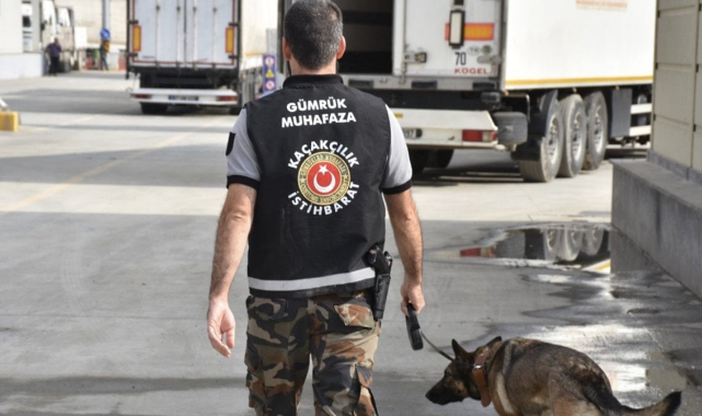 Ticaret Bakanlığı Hayvan Kaçakçılığına Geçit Vermedi: 32,5 Milyon TL’lik Girişim Engellendi