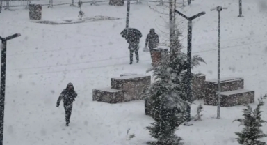 Van'da Kar Yağışı 40 Yerleşim Yerini Ulaşıma Kapattı