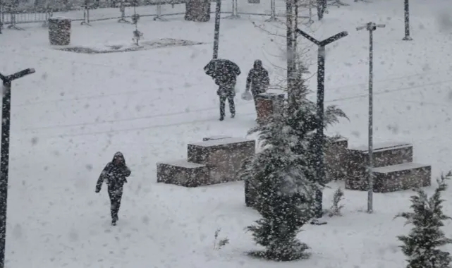 Van'da Kar Yağışı 40 Yerleşim Yerini Ulaşıma Kapattı