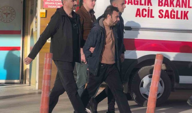 Araç faresi yakayı ele verdi