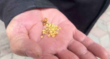 Ata tohumlarıyla tarım hafızası canlanıyor