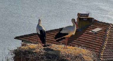 Beklenen buluşma gerçekleşti