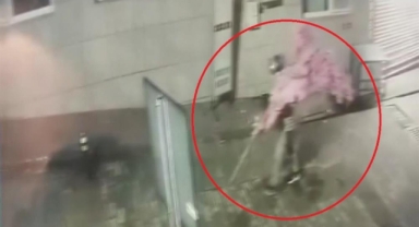 Bursa'da Kasklı Şüpheli, Tarihi Cadde Kafesinden 15 Bin Liralık Süs Ağacını Çaldı