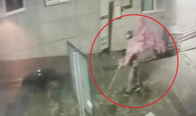 Bursa'da Kasklı Şüpheli, Tarihi Cadde Kafesinden 15 Bin Liralık Süs Ağacını Çaldı