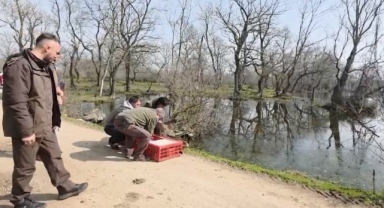 Bursa Karacabey’de Yaban Hayatı Günü Etkinliği: Tilki ve Yaban Ördekleri Doğaya Salındı