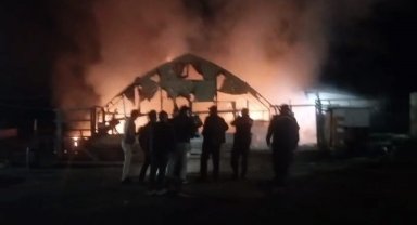 Bursa'da çiftlikte yangın: 580 kanatlı hayvan telef oldu