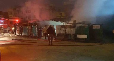 Çiftlik, alevlere teslim oldu