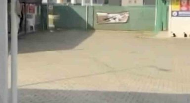 Gemlik Belediyesinin Umurbey'deki barınağını önünde toplanan hayvanseverler içeriye alınmadı