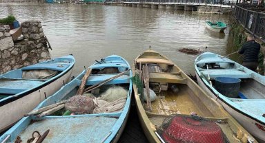 İstilacı İsrail sazanları balıkçılara gelir kaynağı oldu
