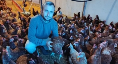 Köyüne Dönerek Gezen Tavuk Çiftliği Kurdu