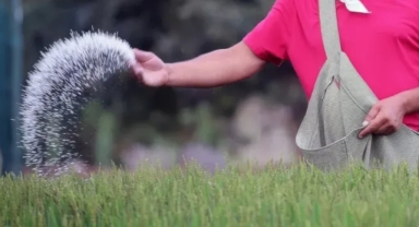 Küresel Gübre Fiyatları Krize Yol Açtı!