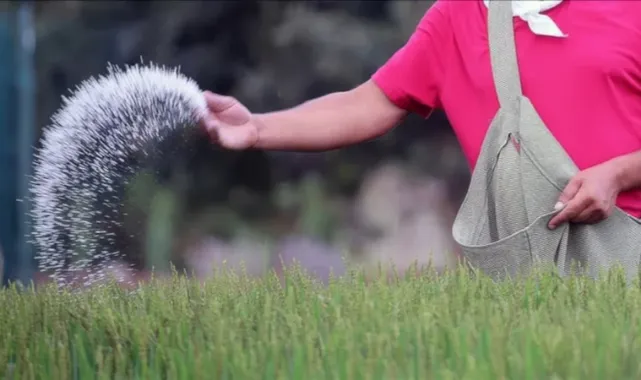 Küresel Gübre Fiyatları Krize Yol Açtı!