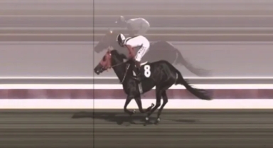 Mersin Aşevinde Kavurmada Yarış Atı Eti Tespit Edildi