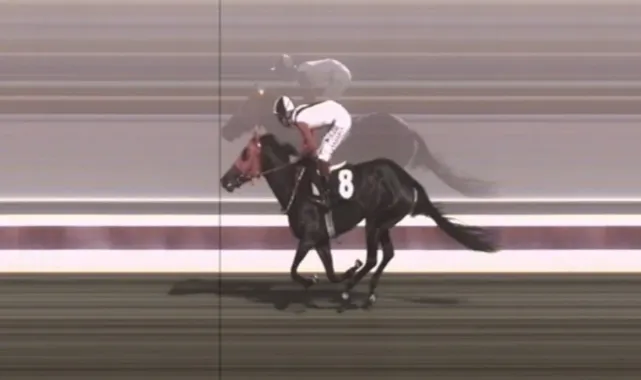 Mersin Aşevinde Kavurmada Yarış Atı Eti Tespit Edildi