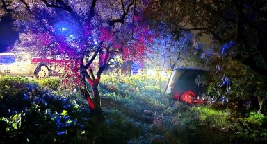 Mudanya'da kazadan kaçan sürücü zeytinliğe daldı