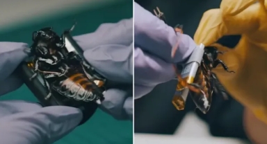 NATO'nun Yeni Casusları Belli Oldu