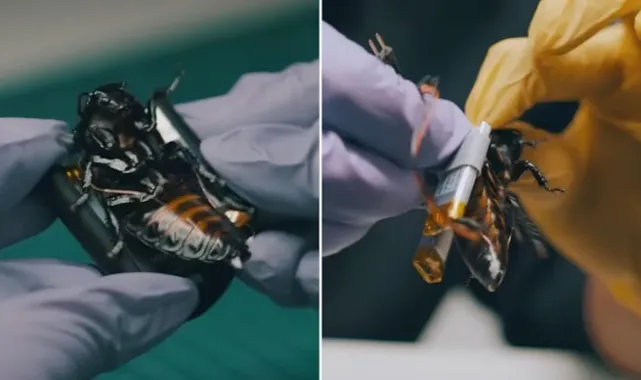 NATO'nun Yeni Casusları Belli Oldu