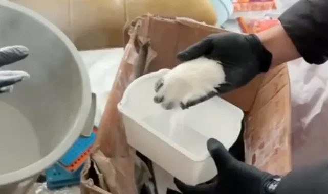 Polis Uyuşturucuya Geçit Vermiyor