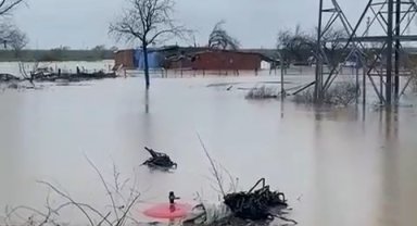 Sağanak Bursa'yı vurdu: Tarlalar göle döndü, hayvanlar mahsur kaldı