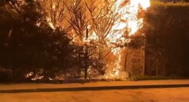 Sebepsiz yere ateşe verilen ağaç itfaiyeyi harekete geçirdi