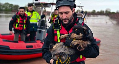 Sular altında kalan bağ evinde mahsur kalan iki köpeği belediye ekipleri kurtardı