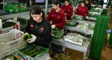 Türkiye, Rusya'nın Yeni Sebze Meyve Tedarik Merkezi Oldu